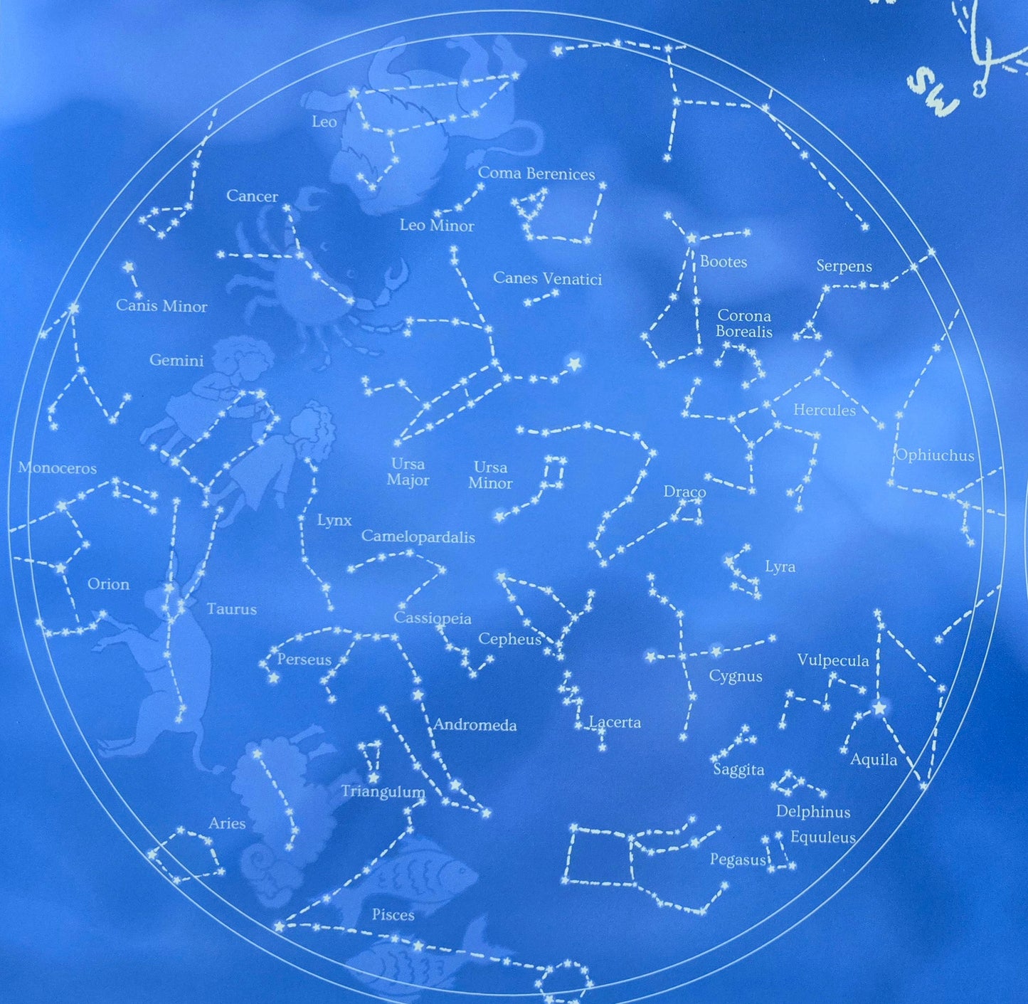 Stars & Seeds : Children's Educational Map of Constellations & Zodiacs